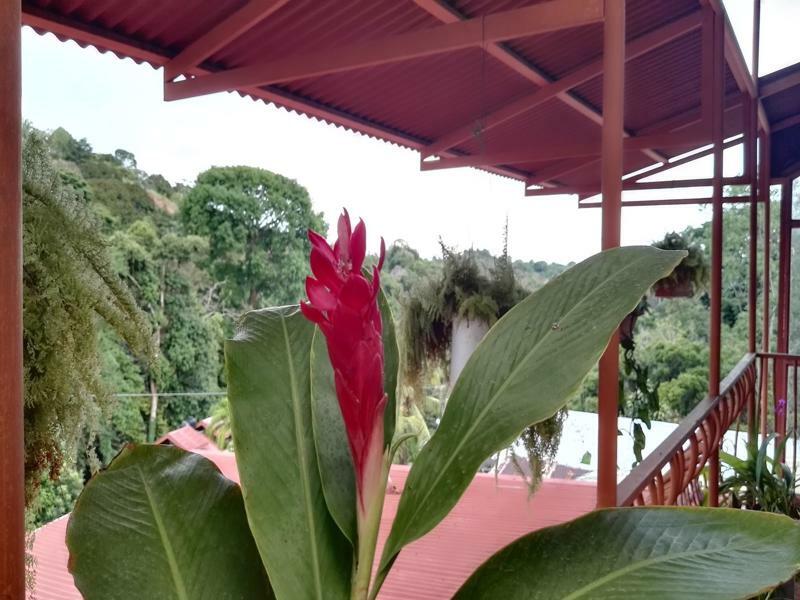 Natural Pacific Suites Manuel Antonio Bagian luar foto